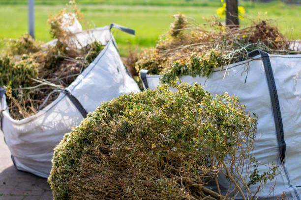 Best Dumpster Rental Services  in Manitou Springs, CO